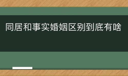 同居和事实婚姻区别到底有啥