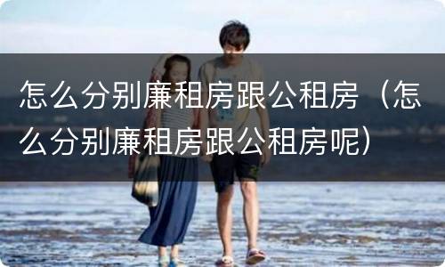 怎么分别廉租房跟公租房（怎么分别廉租房跟公租房呢）