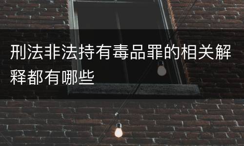 刑法非法持有毒品罪的相关解释都有哪些