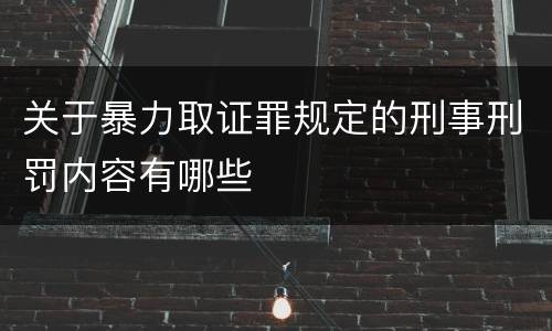 关于暴力取证罪规定的刑事刑罚内容有哪些