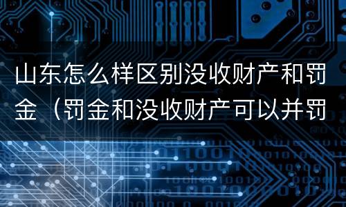 山东怎么样区别没收财产和罚金（罚金和没收财产可以并罚吗）