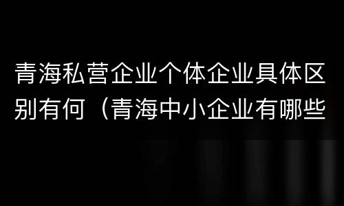 青海私营企业个体企业具体区别有何（青海中小企业有哪些）