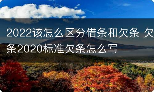 2022该怎么区分借条和欠条 欠条2020标准欠条怎么写