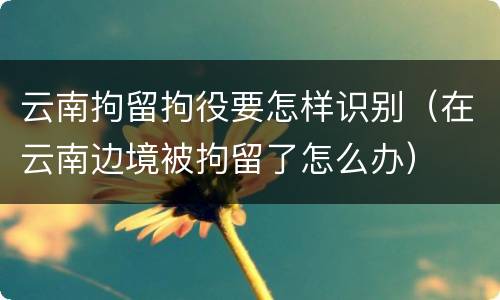 云南拘留拘役要怎样识别（在云南边境被拘留了怎么办）