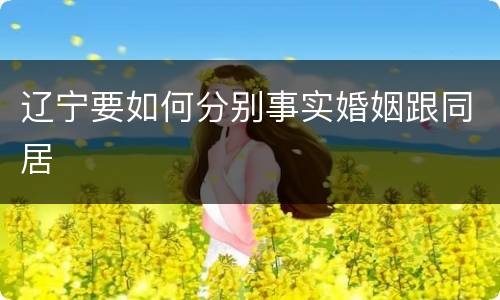 辽宁要如何分别事实婚姻跟同居