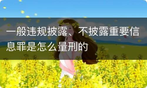 一般违规披露、不披露重要信息罪是怎么量刑的