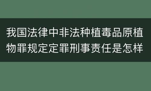 我国法律中非法种植毒品原植物罪规定定罪刑事责任是怎样