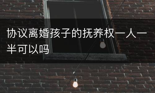 协议离婚孩子的抚养权一人一半可以吗