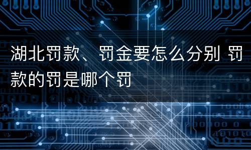 湖北罚款、罚金要怎么分别 罚款的罚是哪个罚