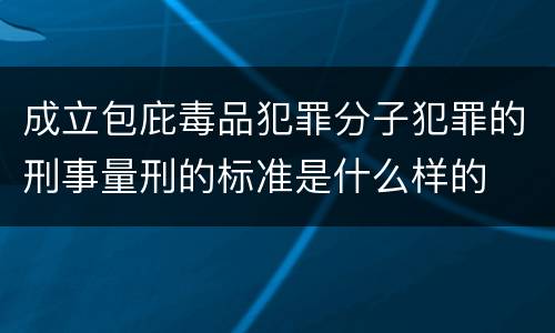 成立包庇毒品犯罪分子犯罪的刑事量刑的标准是什么样的