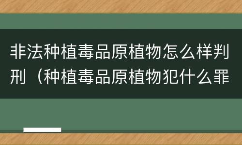 非法种植毒品原植物怎么样判刑（种植毒品原植物犯什么罪）