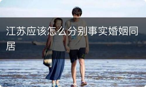 江苏应该怎么分别事实婚姻同居