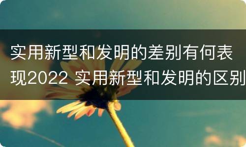 实用新型和发明的差别有何表现2022 实用新型和发明的区别