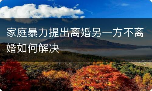 家庭暴力提出离婚另一方不离婚如何解决