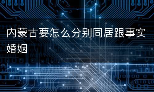 内蒙古要怎么分别同居跟事实婚姻