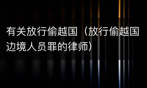 有关放行偷越国（放行偷越国边境人员罪的律师）
