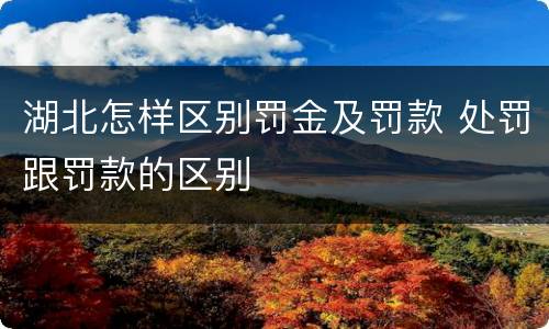 湖北怎样区别罚金及罚款 处罚跟罚款的区别