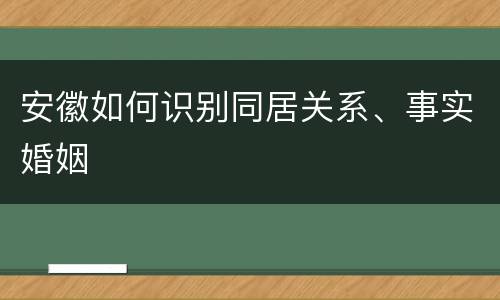 安徽如何识别同居关系、事实婚姻