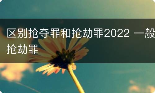 区别抢夺罪和抢劫罪2022 一般抢劫罪