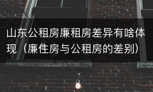 山东公租房廉租房差异有啥体现（廉住房与公租房的差别）