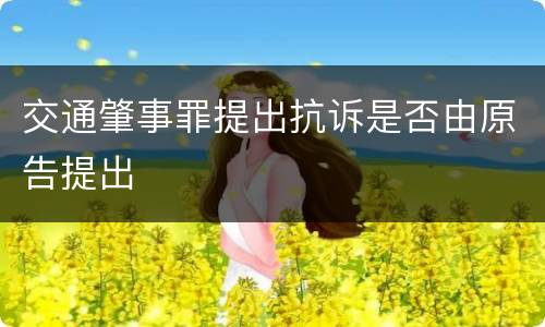 交通肇事罪提出抗诉是否由原告提出