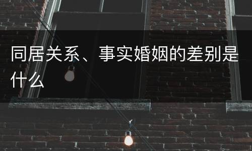 同居关系、事实婚姻的差别是什么