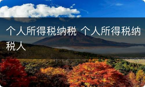 个人所得税纳税 个人所得税纳税人