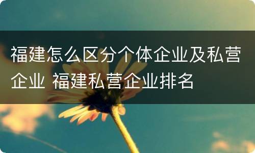 福建怎么区分个体企业及私营企业 福建私营企业排名