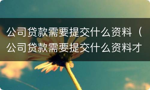 公司贷款需要提交什么资料（公司贷款需要提交什么资料才能贷款）