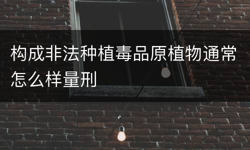 构成非法种植毒品原植物通常怎么样量刑