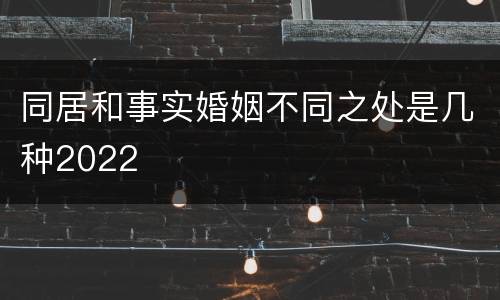 同居和事实婚姻不同之处是几种2022