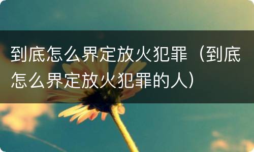 到底怎么界定放火犯罪（到底怎么界定放火犯罪的人）