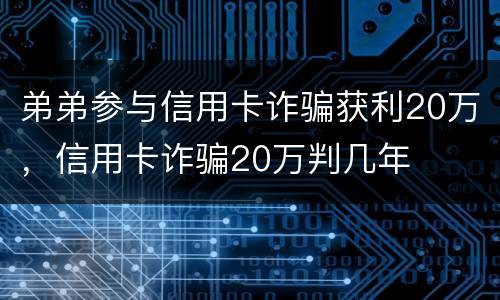 弟弟参与信用卡诈骗获利20万，信用卡诈骗20万判几年