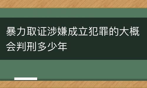 暴力取证涉嫌成立犯罪的大概会判刑多少年