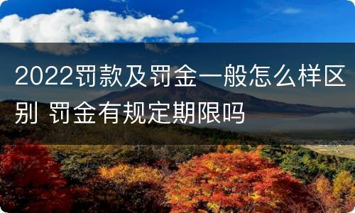 2022罚款及罚金一般怎么样区别 罚金有规定期限吗