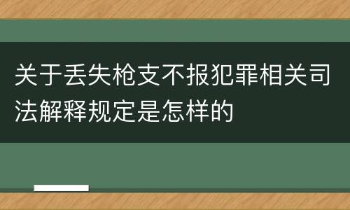 关于丢失枪支不报犯罪相关司法解释规定是怎样的