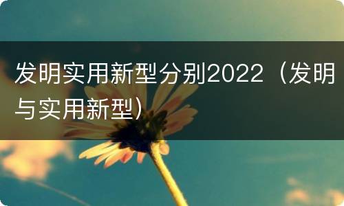 发明实用新型分别2022（发明与实用新型）