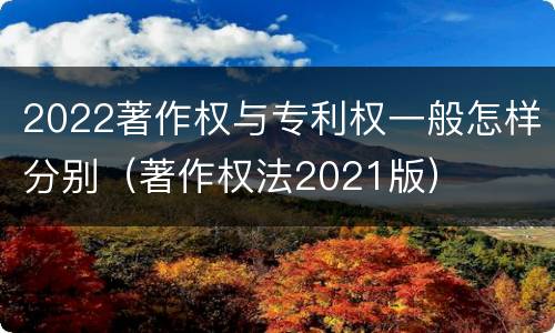 2022著作权与专利权一般怎样分别（著作权法2021版）