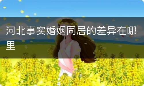 河北事实婚姻同居的差异在哪里