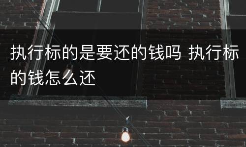 执行标的是要还的钱吗 执行标的钱怎么还