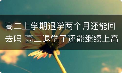 高二上学期退学两个月还能回去吗 高二退学了还能继续上高三吗