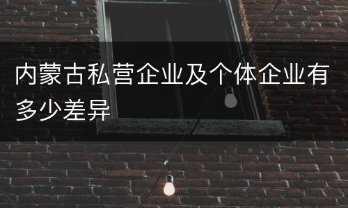 内蒙古私营企业及个体企业有多少差异