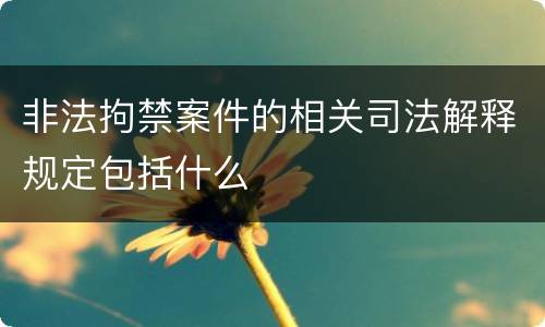 非法拘禁案件的相关司法解释规定包括什么