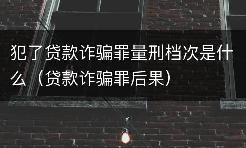 犯了贷款诈骗罪量刑档次是什么（贷款诈骗罪后果）