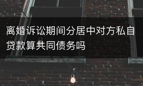 离婚诉讼期间分居中对方私自贷款算共同债务吗