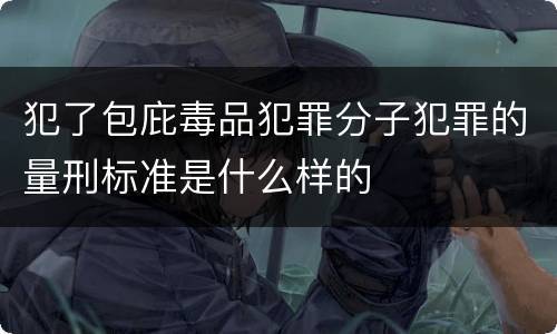 犯了包庇毒品犯罪分子犯罪的量刑标准是什么样的