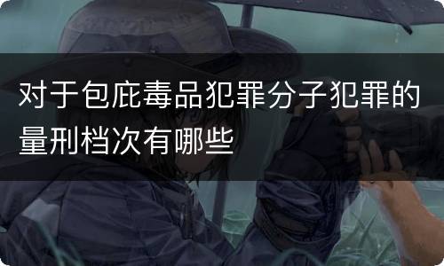 对于包庇毒品犯罪分子犯罪的量刑档次有哪些