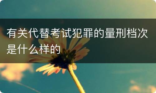 有关代替考试犯罪的量刑档次是什么样的