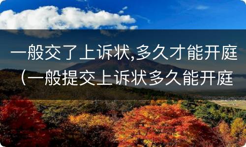 一般交了上诉状,多久才能开庭（一般提交上诉状多久能开庭）