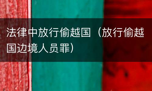 法律中放行偷越国（放行偷越国边境人员罪）